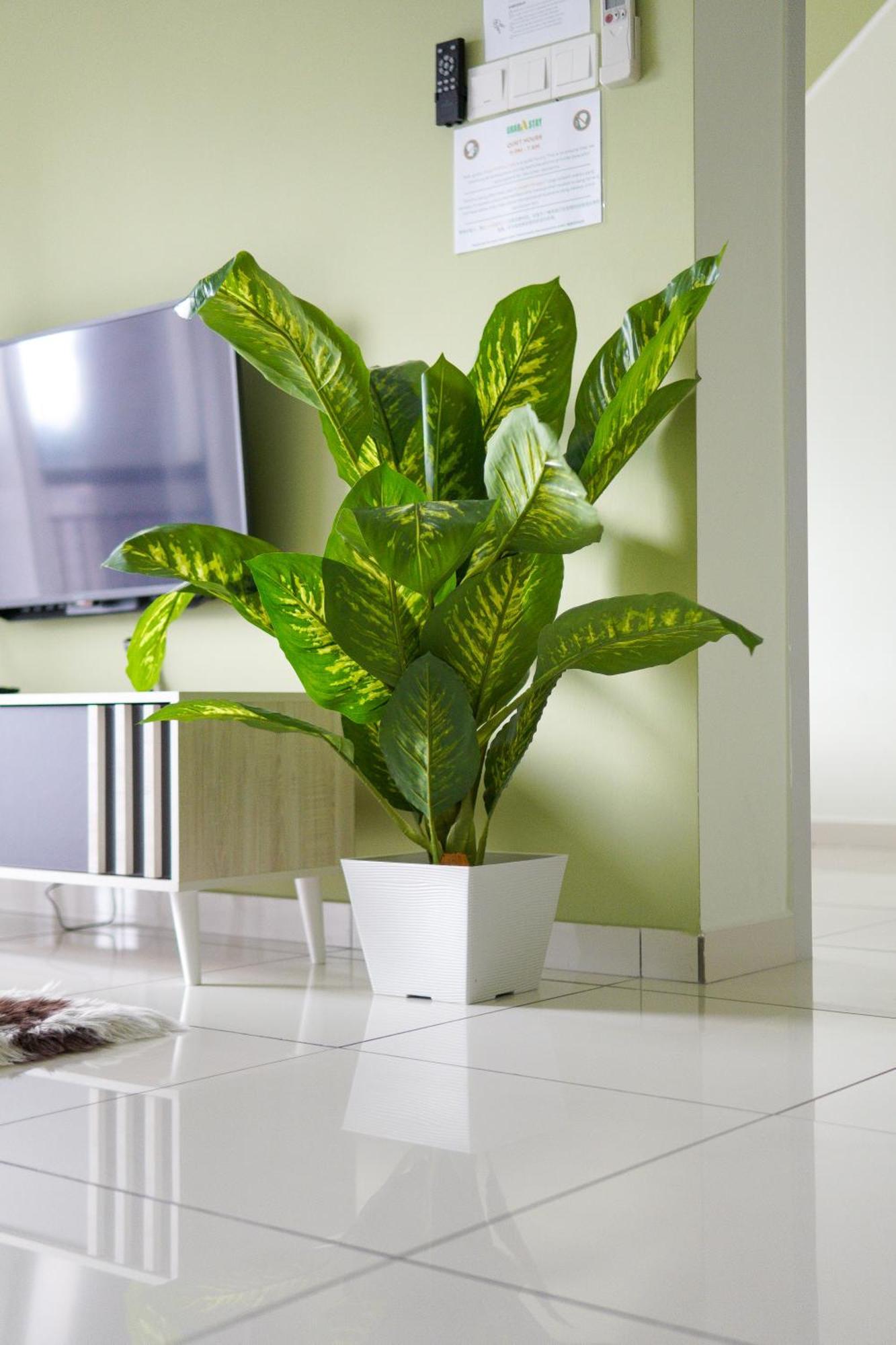 The Horizon L15 By Grab A Ipoh